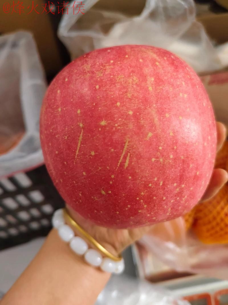 2026世界杯盘口苹果官方